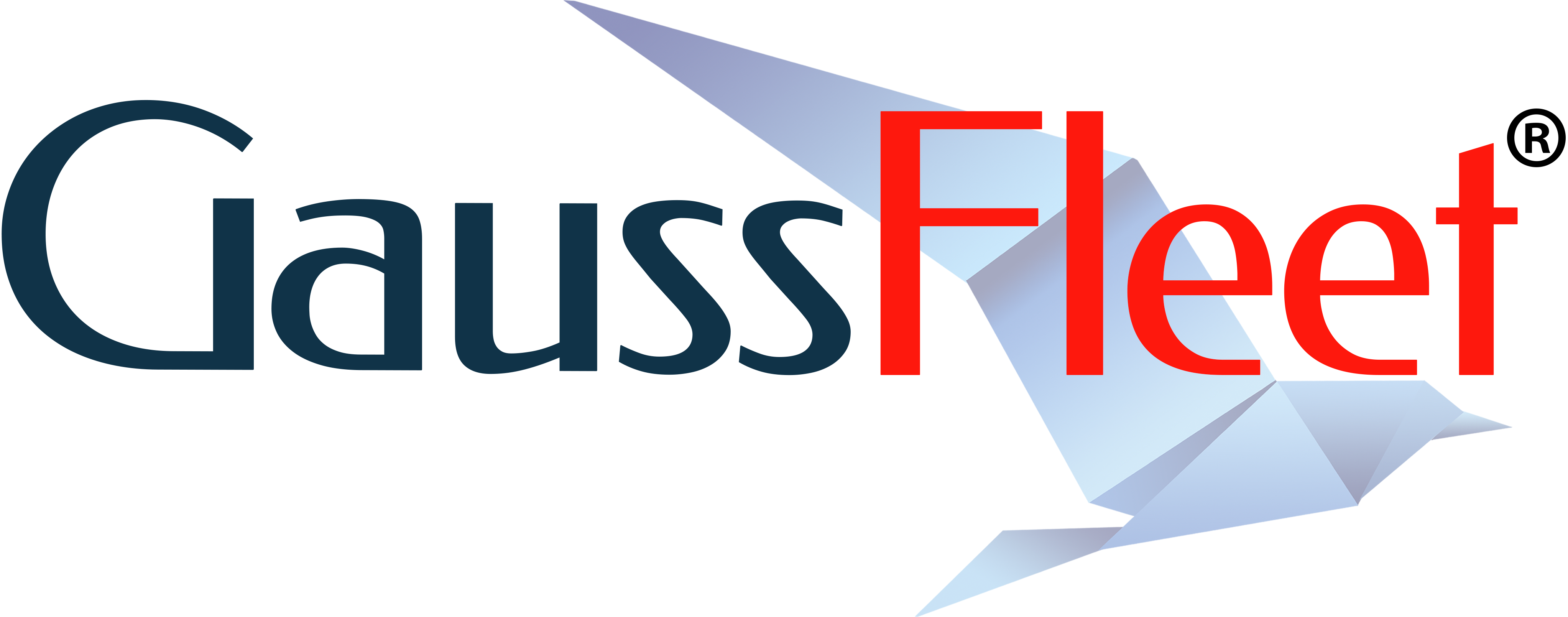 logo-gauss